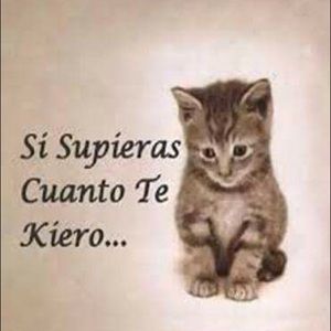 Meet your Posher, Lismarian