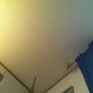 Meet your Posher, Phyliss