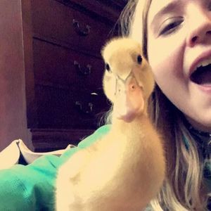 Meet your Posher, Sara