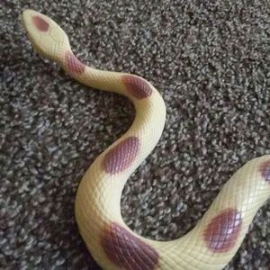 Meet your Posher, Darren