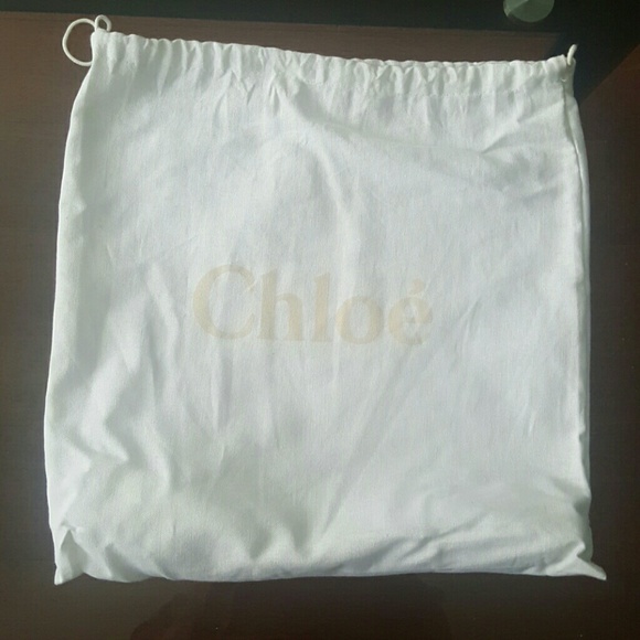 Chloe Faye Medium Shoulder Bag in Motty Gray - Picture 4 of 4