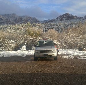 Meet your Posher, Oscar