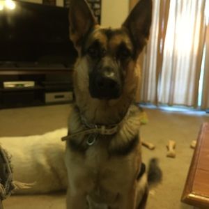 Meet your Posher, Paula