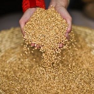 Meet your Posher, Shellie r.