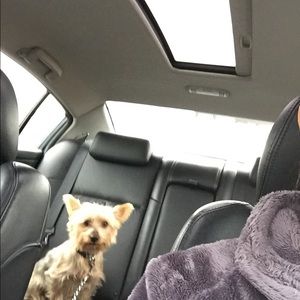 Meet your Posher, Alisha