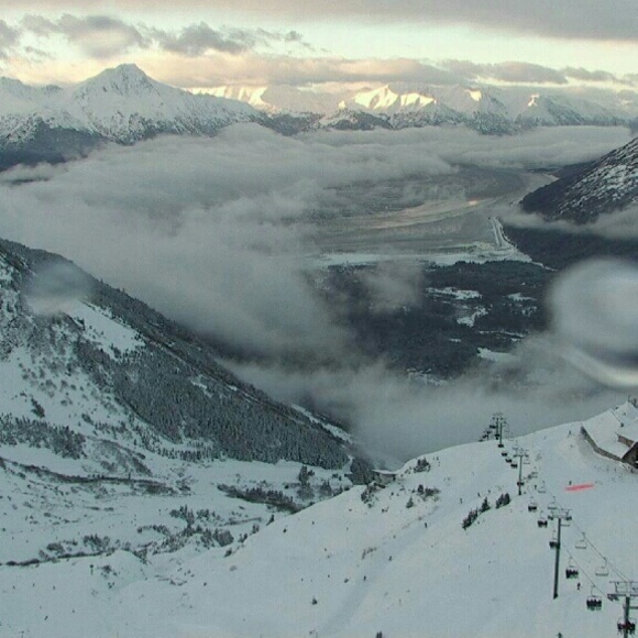 Meet your Posher, Niky