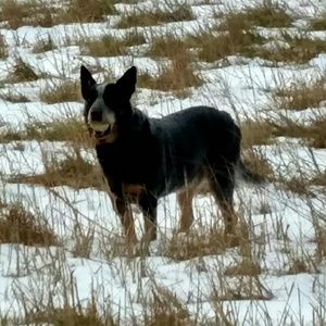 Meet your Posher, Denise