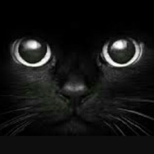 Meet your Posher, Denisse