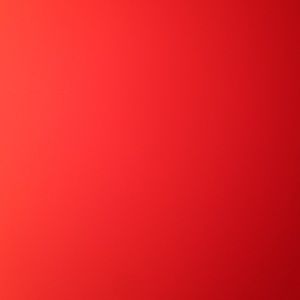 Meet your Posher, Logan