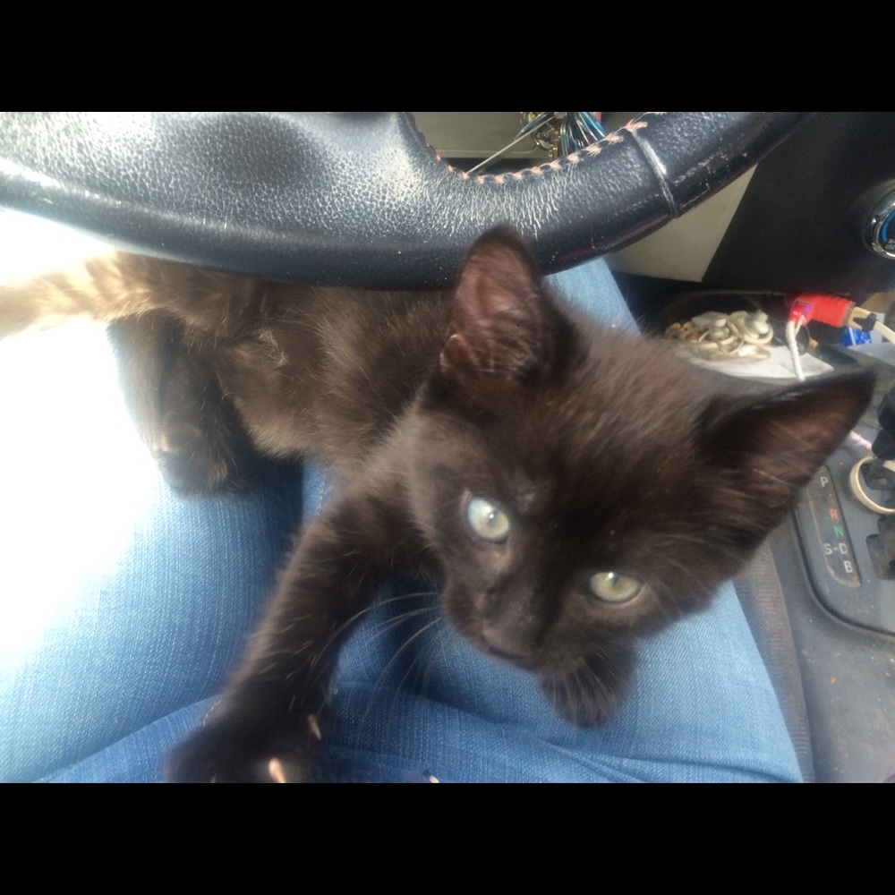 What's up y'all! 👑✨ - Picture 3 of 7