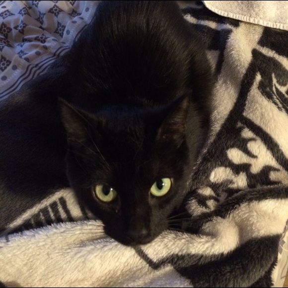 What's up y'all! 👑✨ - Picture 5 of 7