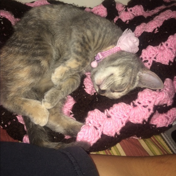 What's up y'all! 👑✨ - Picture 6 of 7