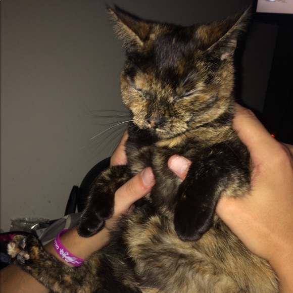 What's up y'all! 👑✨ - Picture 7 of 7