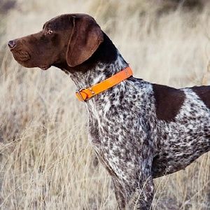 Meet your Posher, Zach