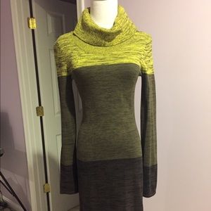 Loose turtle neck sweater dress
