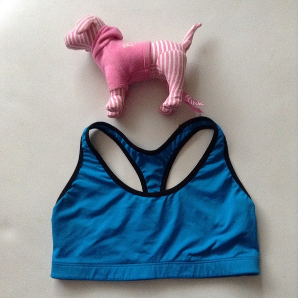 PINK Victoria's Secret Other - VS PINK Sports Bra and Dog Bundle