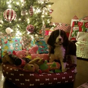 Meet your Posher, Toni