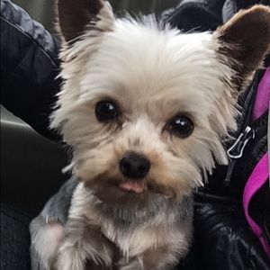 Meet your Posher, Vanessa