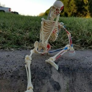 Meet your Posher, Gabriela