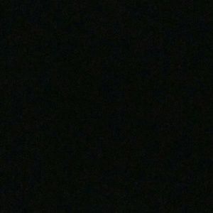 Meet your Posher, Delphine