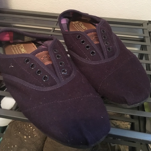New Purple Toms Shoes