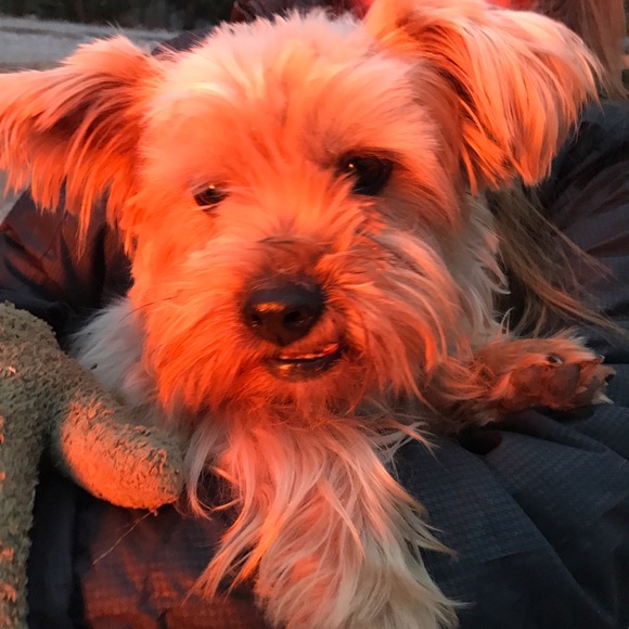 Meet your Posher, Nancy - Picture 1 of 1