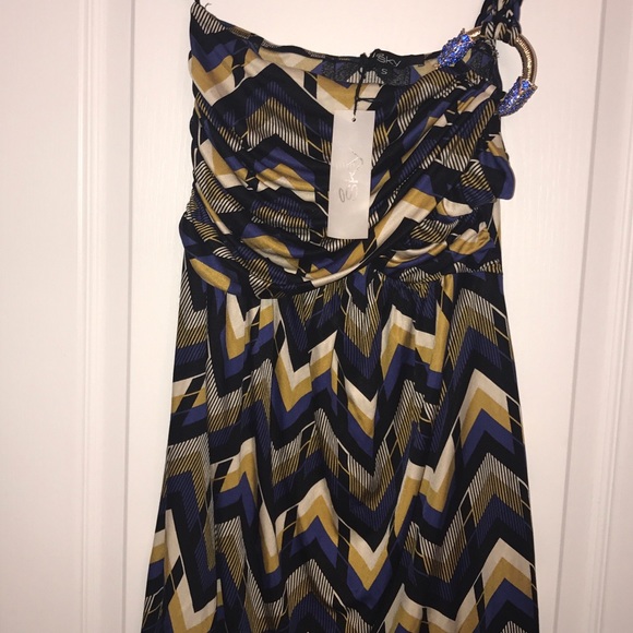 Sky brand dress NWT 100% silk multicolor dress
