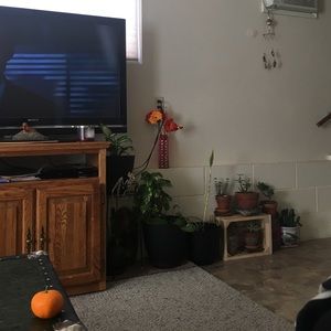 Meet your Posher, Kyla