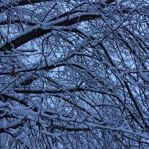 Meet your Posher, Elisabeth