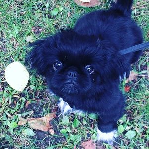 Meet your Posher, Mariah