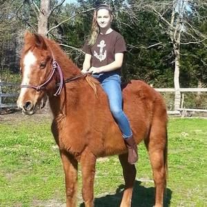 Meet your Posher, Angie