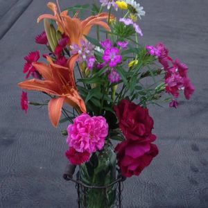 Meet your Posher, Vicki