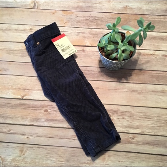 NWT 12 month boy cords
