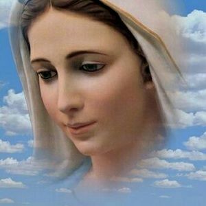 Meet your Posher, Gisha