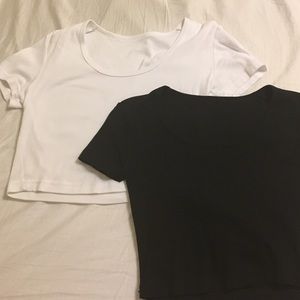 AA CROP TOP BUNDLE