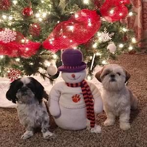 Meet your Posher, Dayna