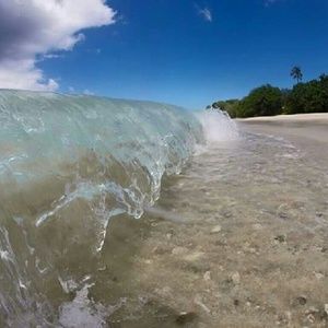 Meet your Posher, Janelle