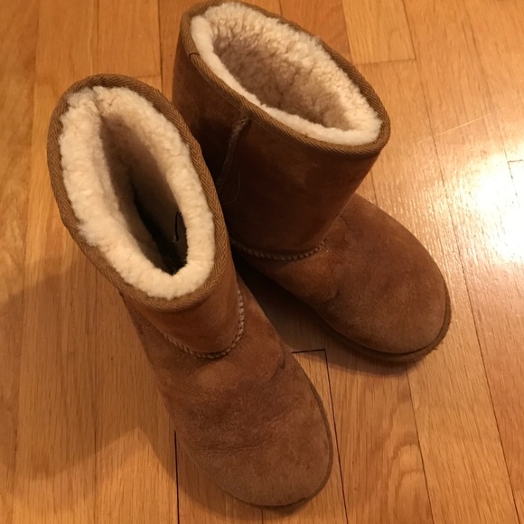 Classic short Chestnut uggs