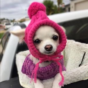 Meet your Posher, Isabel