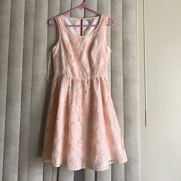 Lauren Conrad Daisy Pink Dress