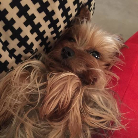 Meet your Posher, Michelle