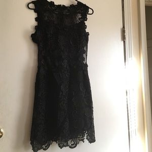 Lace and mesh cocktail dress