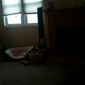 Meet your Posher, Tim