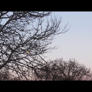 Meet your Posher, Hailey