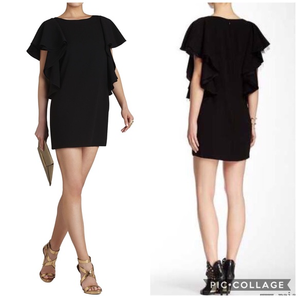 $298 BCBG MaxAzria Solace Ruffle Sleeve Dress