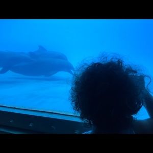 Meet your Posher, Nicky