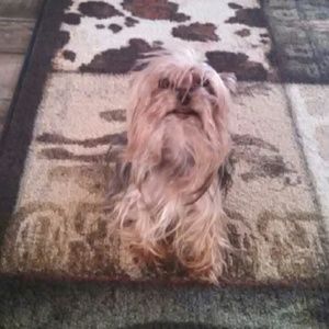 Meet your Posher, Carime