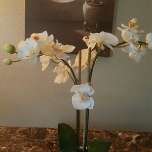 Meet your Posher, Evelyn