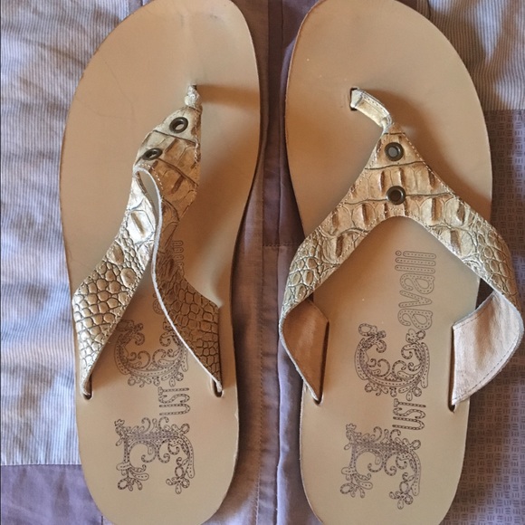 Cavalli Slip on's