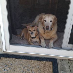 Meet your Posher, Lori